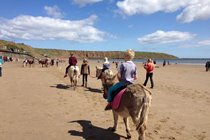 Have a donkey ride on Filey beach.