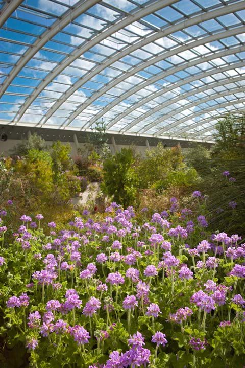 The Glass House at National Botanic gardens