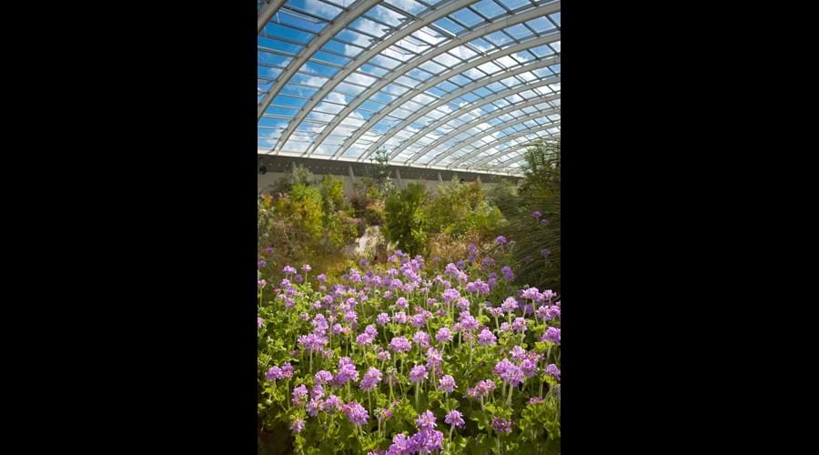 The Glass House at National Botanic gardens
