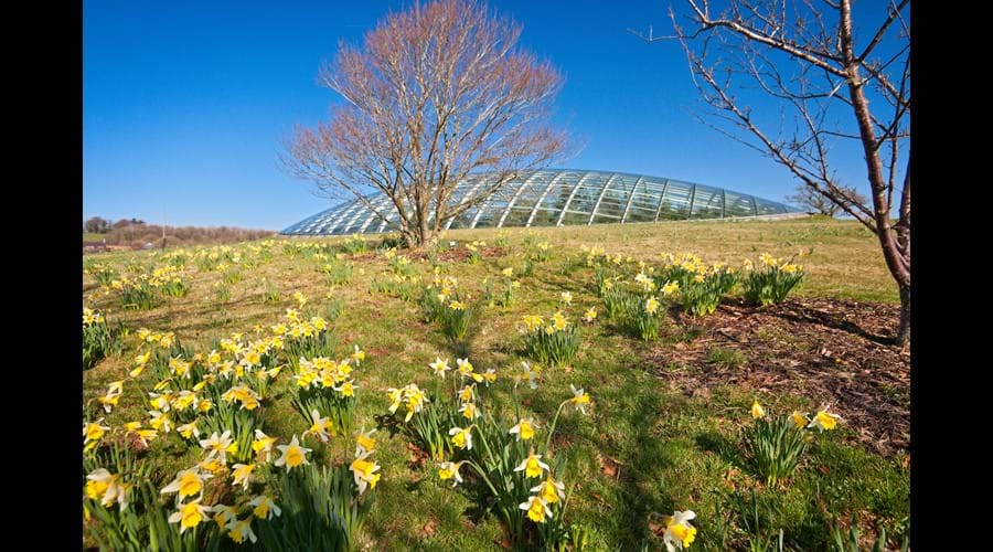 National Botanic Gardens
