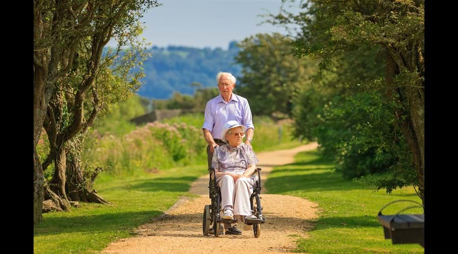 Accessible Trails