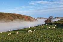 Mist rising from the valley