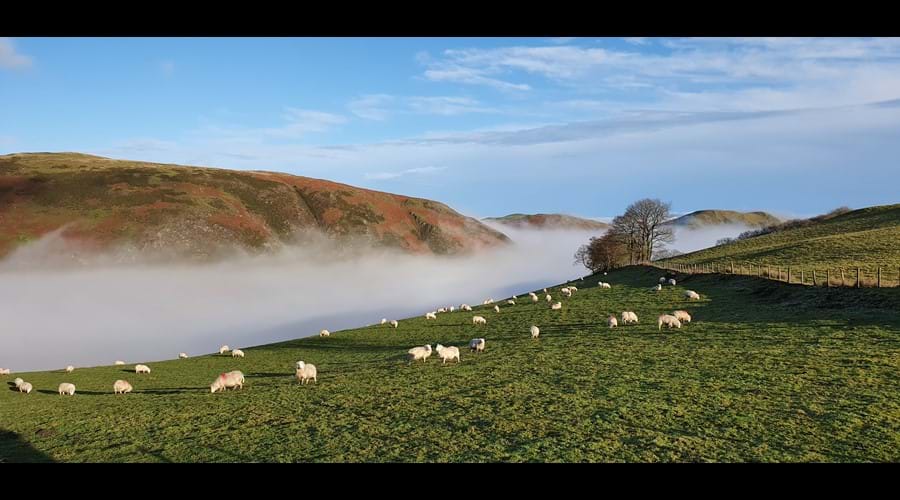 Mist rising from the valley