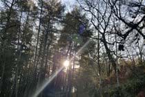 There are many walks straight out the door