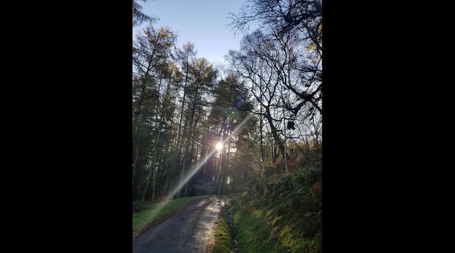 There are many walks straight out the door