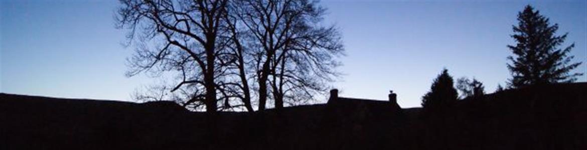 Header Image
