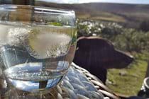 Gin and tonics in the Summerhouse