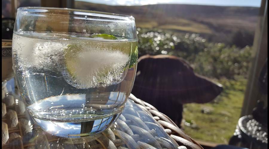 Gin and tonics in the Summerhouse