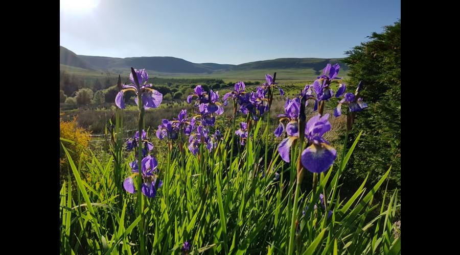 May at Little Pudding Cottage