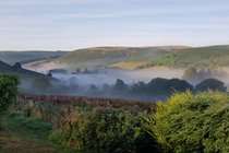 Misty valley from the garden
