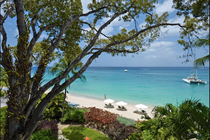 Garden and beach area