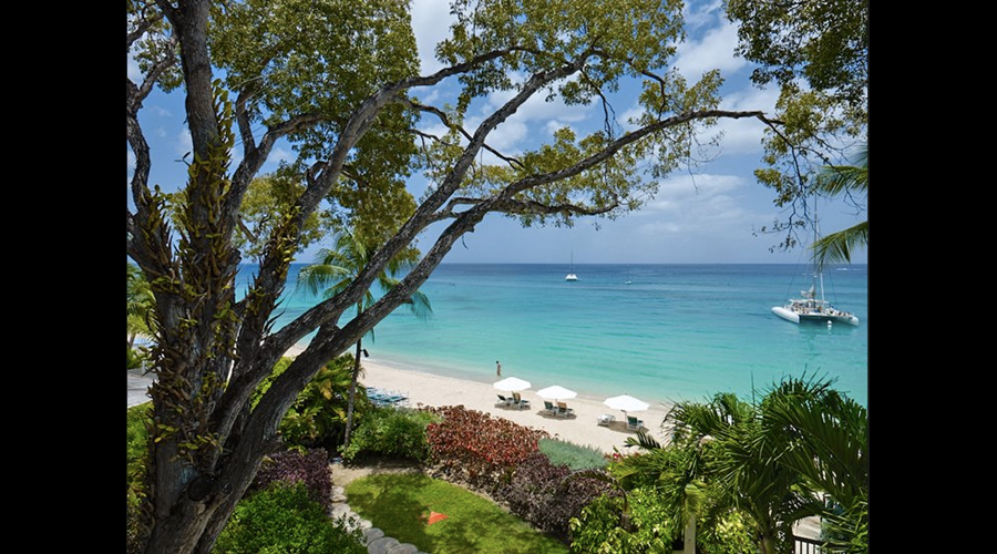 Garden and beach area