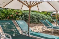 dedicated Coral Cove sun loungers!