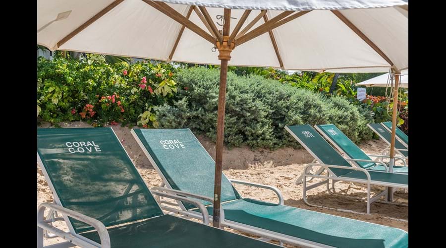 dedicated Coral Cove sun loungers!