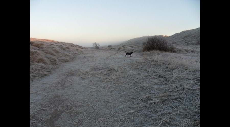 Beautifully crisp and fresh in Winter