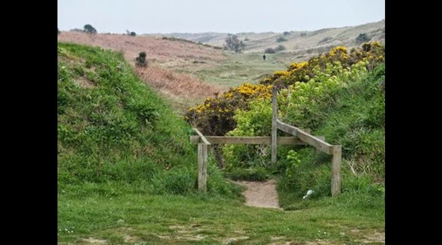 The Winterton Valley. Miles of safe dogwalking with no traffic