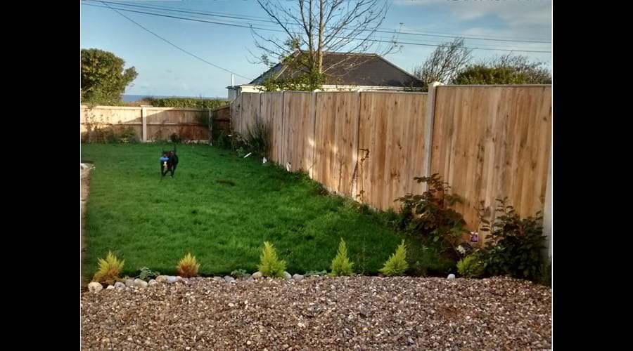 Garden - Driveway