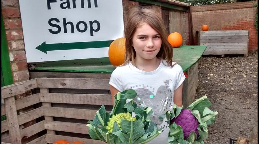 The Tacons farm shop, Rollesby, 4 miles away, amazing fresh veg