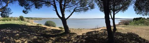 Panoramic view of the Etang de Vendres just outside back of house.