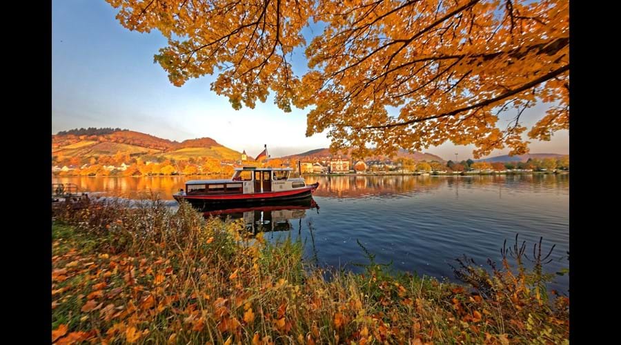 Autumn Colours