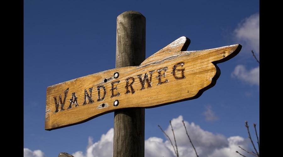 Plenty Of Wonderful Walking Path