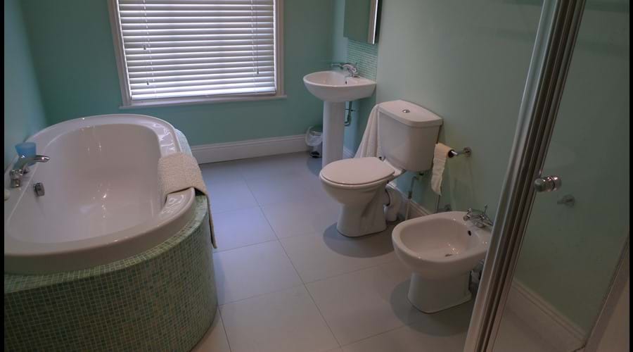 Family bathroom (1st Floor): Separate bath, shower cubicle with thermostatic shower, washbasin, wc and bidet