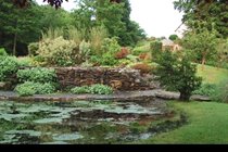 hillside garden