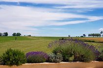 From the back terrace - not a bad view!