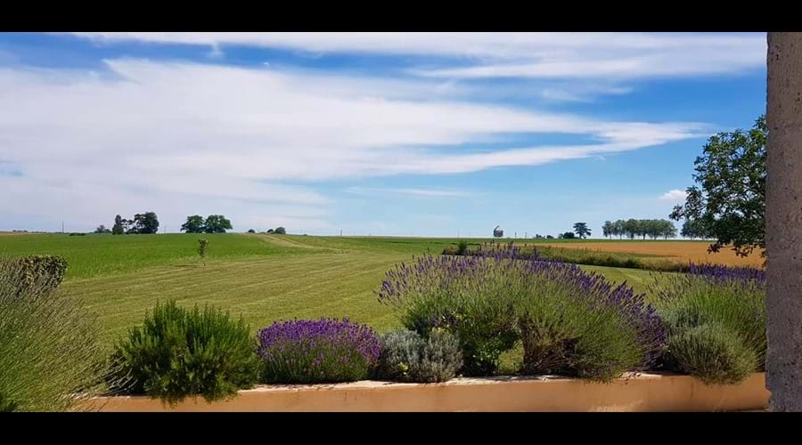 From the back terrace - not a bad view!