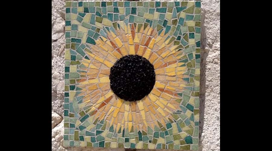 Welcome to Le Tournesol