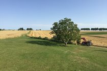 View across the fields