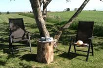 Relax under the walnut tree!