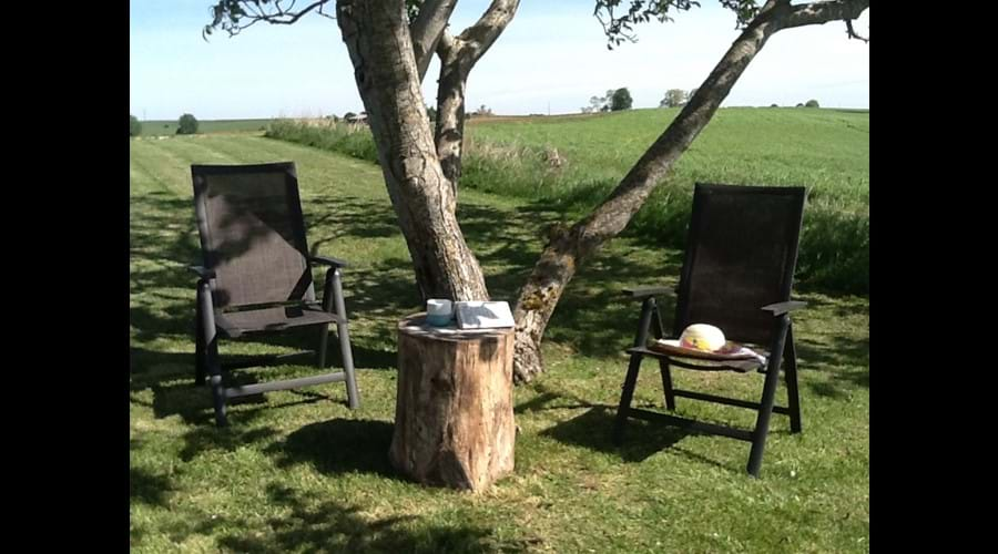 Relax under the walnut tree!