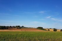 Views across the fields - wonderful!