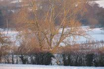 footpaths and walks across the valley