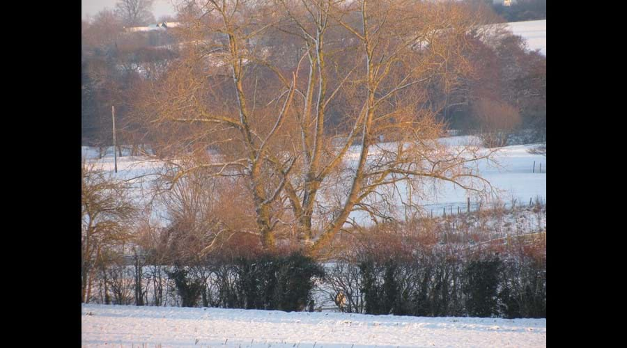 footpaths and walks across the valley