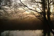 evening time down by the river