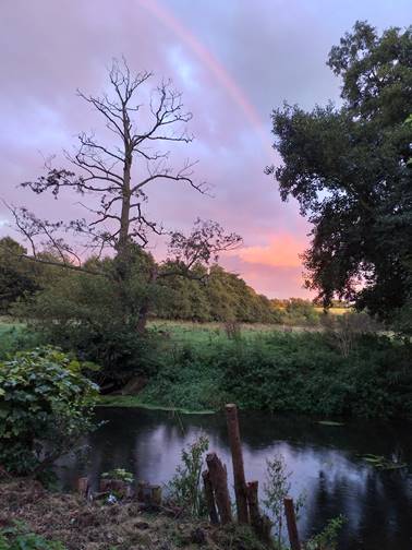 Sunset sitting down by the river. watching the bats.