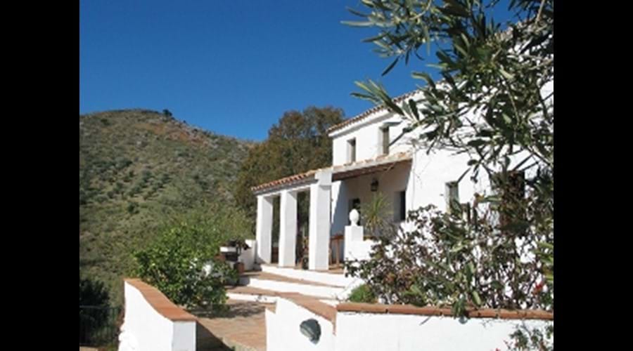 house and terrace