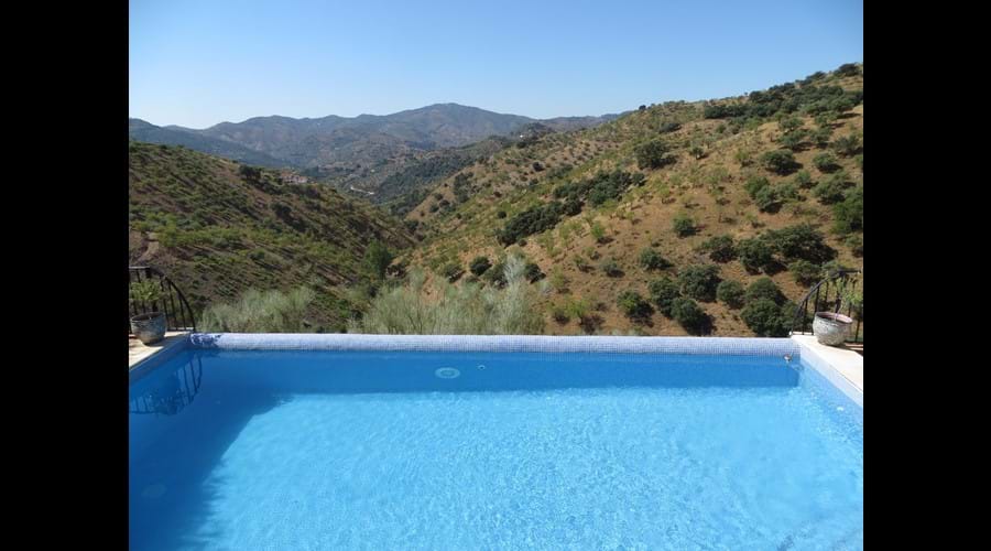 the pool