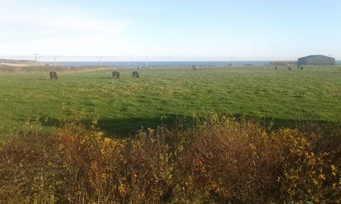 Fields , Cows ,Sea and Ships all in the same View !