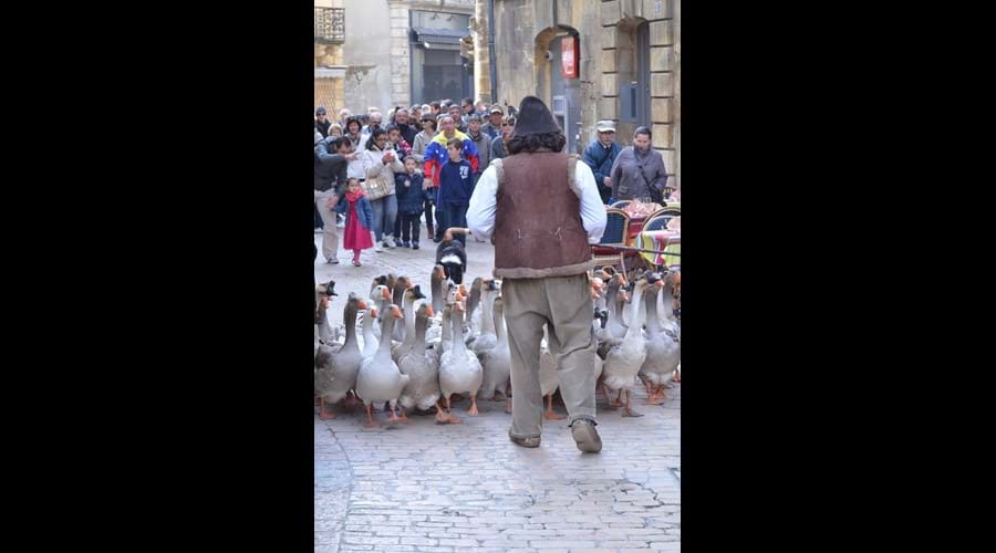 Fest' Oie (Goose Fair)