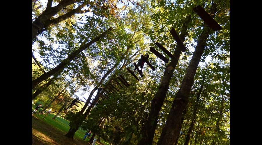Swing through the trees at the Monkey Forest at Carsac-Aillac