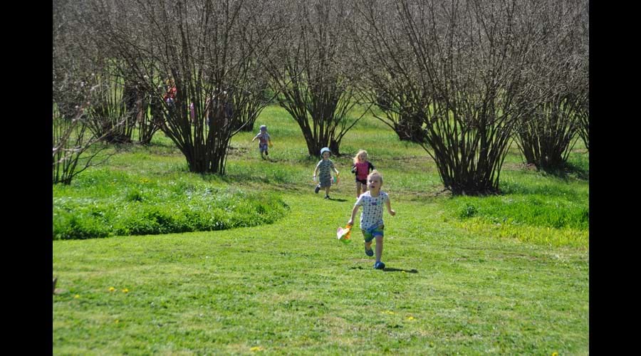 Early April Fun !