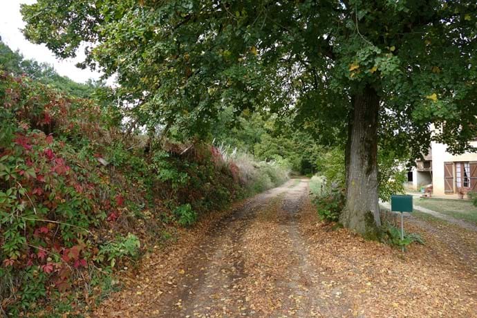 The lane behind the gite leading into the forest 