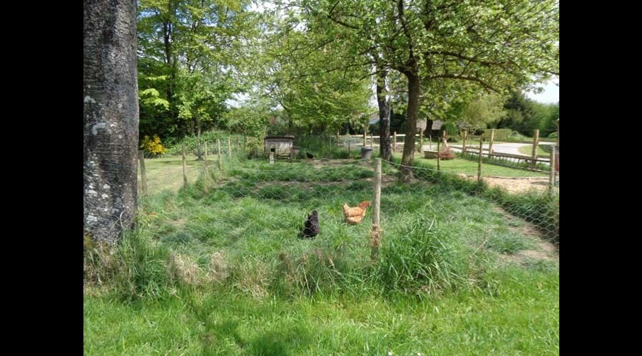 Rural Normandie holiday