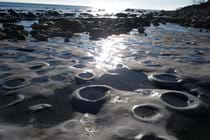 Lyme bay fossil ammonite pavement