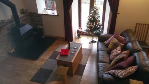 Christmas/New Year by the cosy wood burning stove