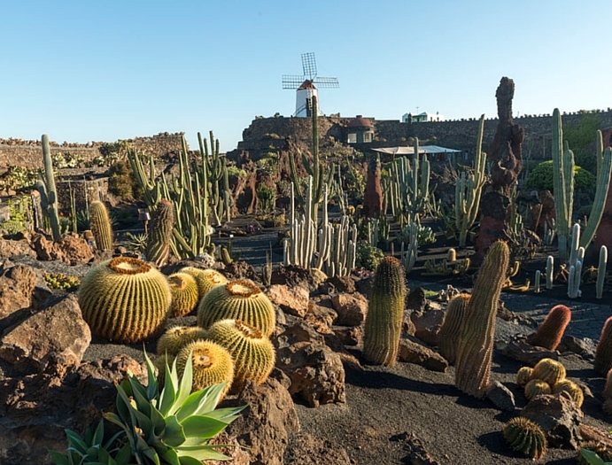Finca Botanico, Guatiza, Lanzarote