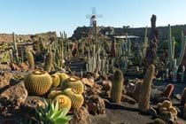 The Cactus Garden - a short stroll away